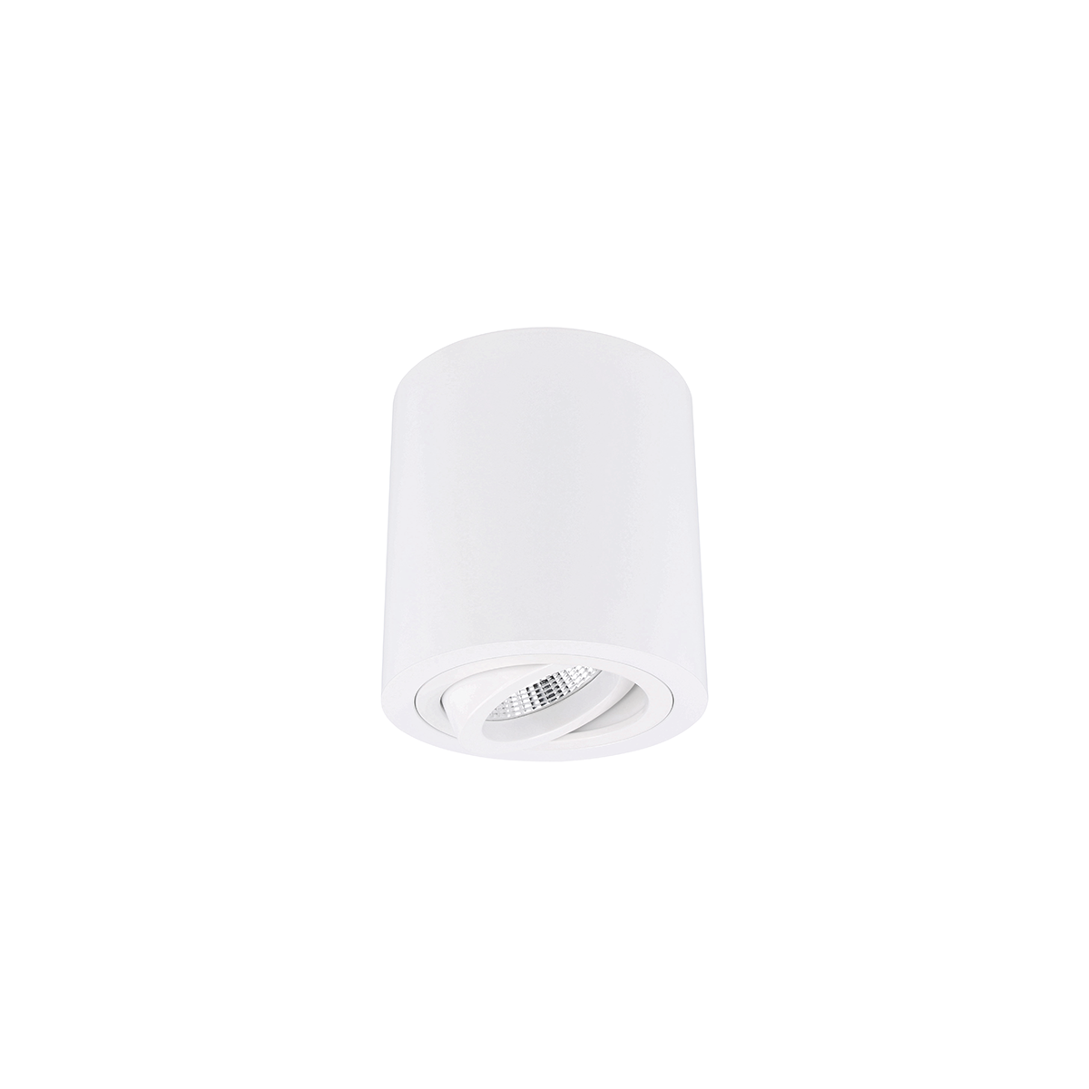 Yphix | surface-mounted Roma spotlight tiltable round White ESTG